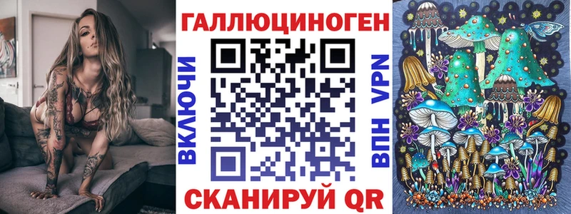 Псилоцибиновые грибы Psilocybine cubensis  Купить где  Судогда 